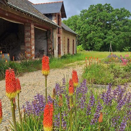 Ecolodges De Loire & Spa Gennes-Val-de-Loire Kültér fotó