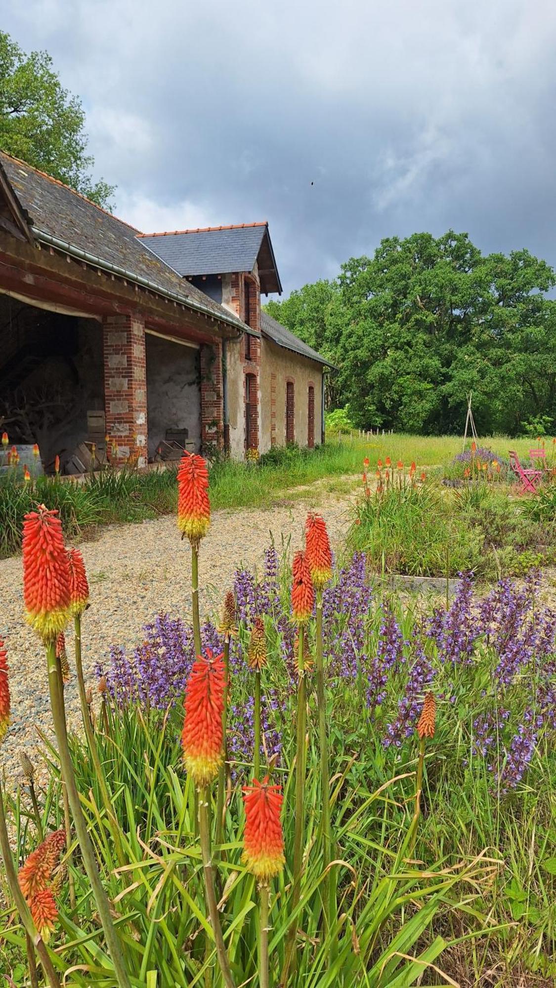 Ecolodges De Loire & Spa Gennes-Val-de-Loire Kültér fotó